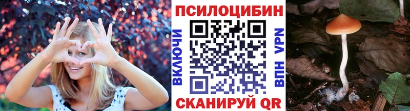 наркота Чердынь Галлюциногенные грибы Magic Shrooms